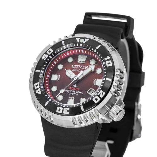 Citizen Uomo BN1024-01Z Promaster Professional Diver 300