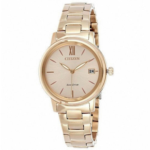 Citizen FE6093-87X Eco-Drive Woman's Watch