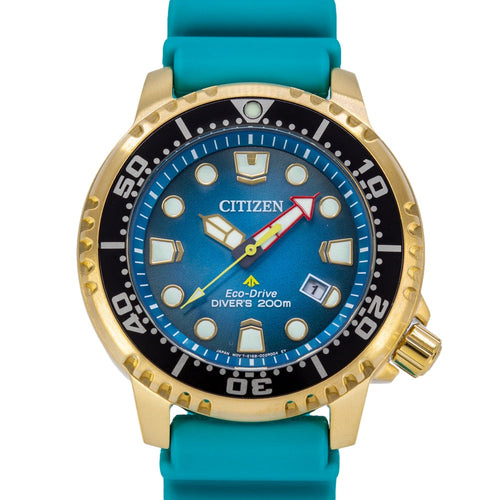 Citizen Uomo BN0162-02X Promaster Diver's 200mt Eco-Drive