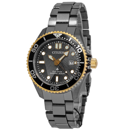 Citizen BN0264-53E Promaster Eco-Drive Men's Watch